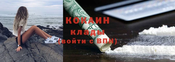 стафф Арсеньев