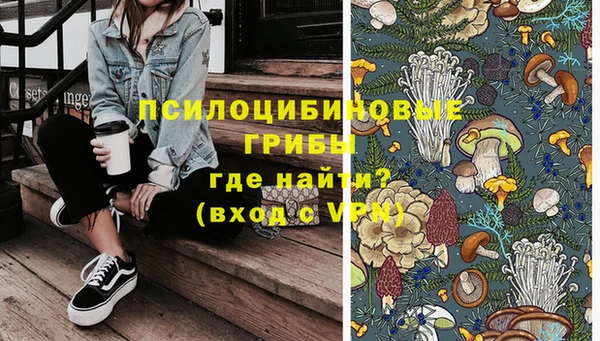 стафф Арсеньев