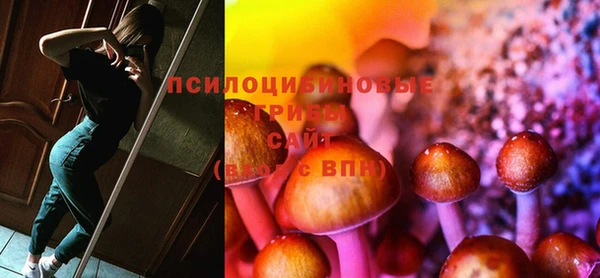 стафф Арсеньев