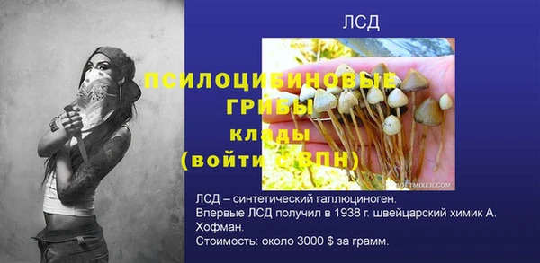 молекула духа Армянск