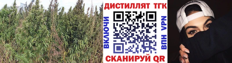 ТГК гашишное масло  где купить наркоту  Пучеж 